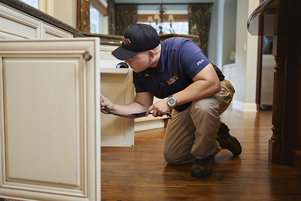 Inspection-under-sink