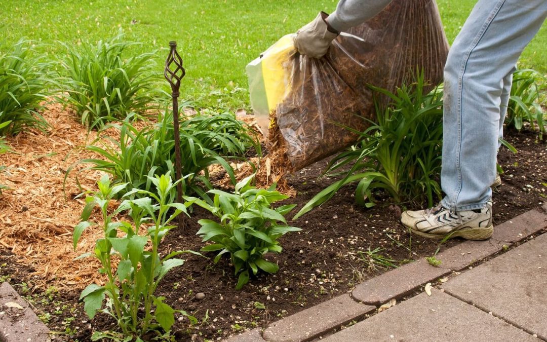 4 Ways to Improve Curb Appeal