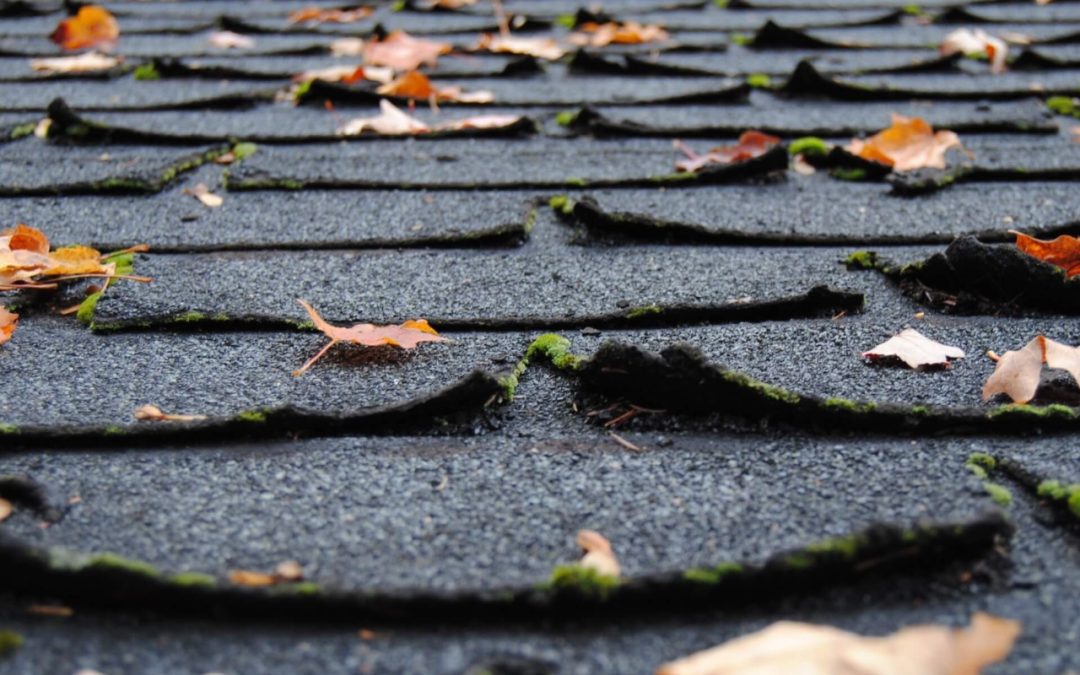 4 Tips for Yearly Roof Maintenance