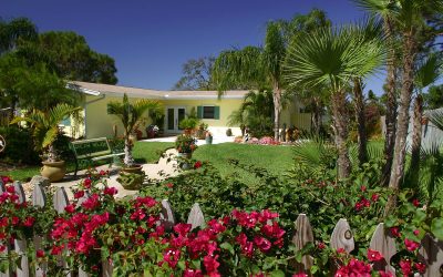 6 Easy Landscaping Tips for Outdoor Spaces in Florida