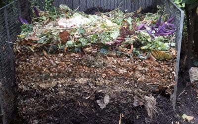 6 Tips for Composting at Home