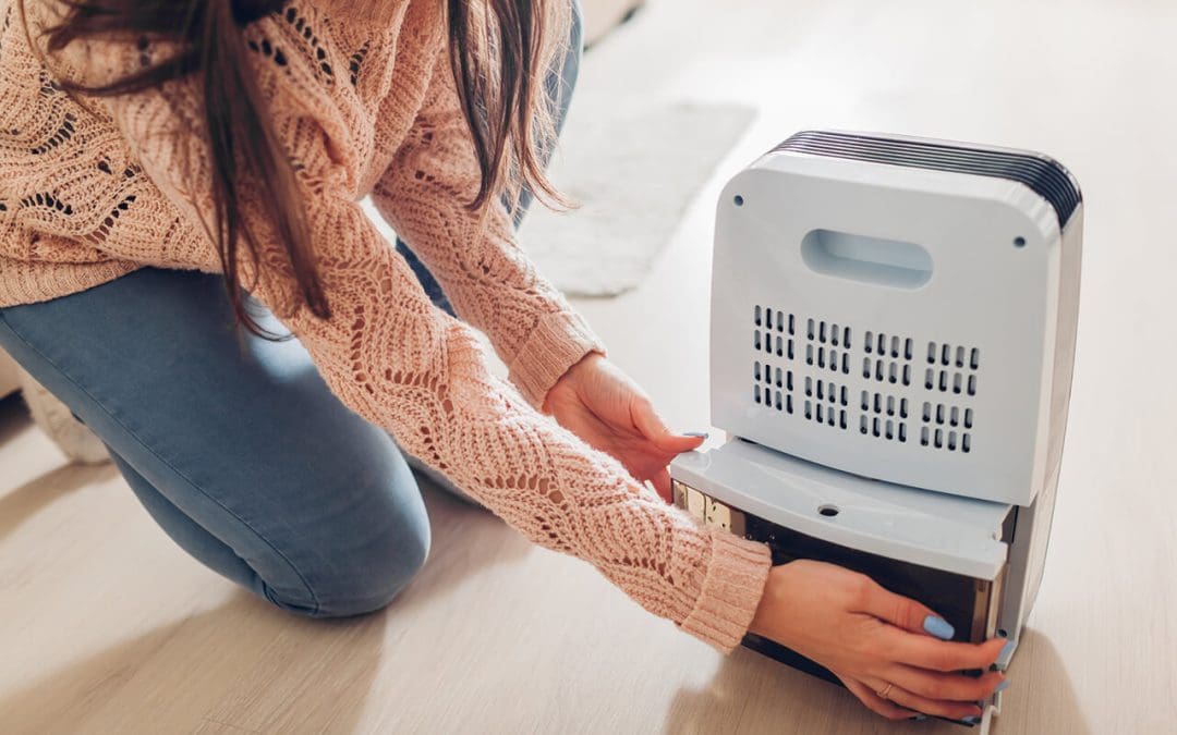 Beyond the Breeze: Practical Steps to Improve Indoor Air Quality