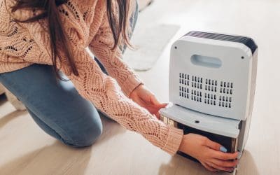 Beyond the Breeze: Practical Steps to Improve Indoor Air Quality