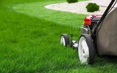 Lawn Care Made Simple: Mowing Tips and Essential Advice for a Healthier Yard