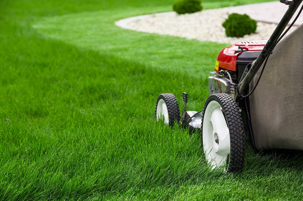 Lawn Care Made Simple: Mowing Tips and Essential Advice for a Healthier Yard